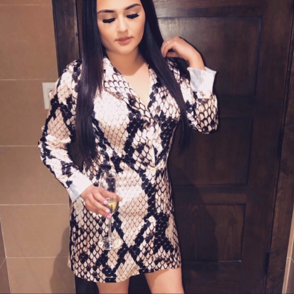Snake Print Button Up Dress